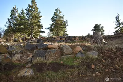 0 Morrison Canyon Lane, Cle Elum, WA 98922 - Photo 19