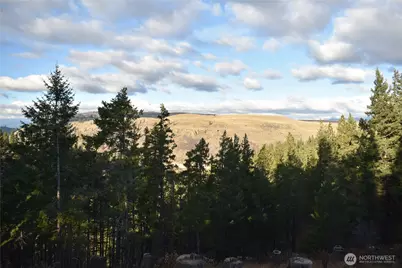 0 Morrison Canyon Lane, Cle Elum, WA 98922 - Photo 29