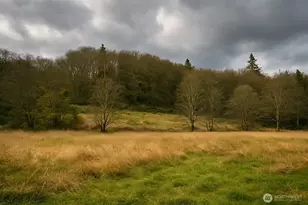 16818 W Big Lake Blvd, Mount Vernon, WA 98274 - Photo 1