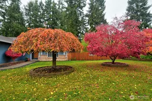 5643 Red Alder Dr NE, Olympia, WA 98516 - Photo 23