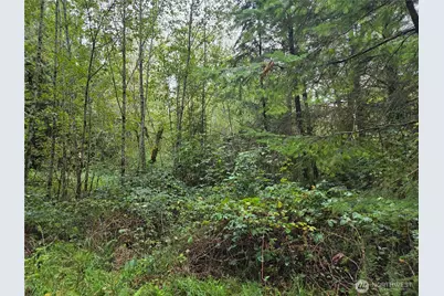 8721 Salty Drive NW, Olympia, WA 98502 - Photo 3