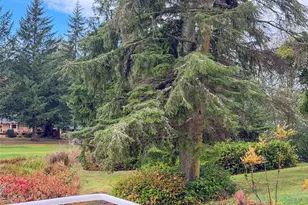 60 Fairway Ln, Port Ludlow, WA 98365 - Photo 33