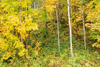 149 Glacier Lane, Woodland, WA 98674 - Photo 13