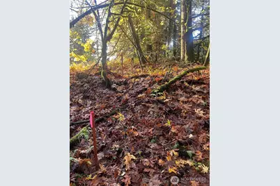 8621 SE Bethel Burley Road, Port Orchard, WA 98367 - Photo 3