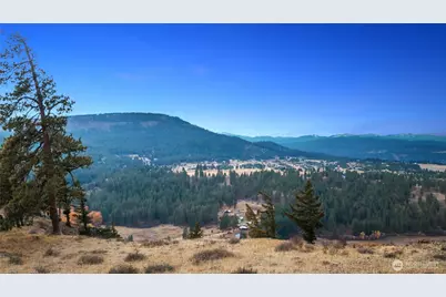 1371 Bettas Road, Cle Elum, WA 98926 - Photo 39