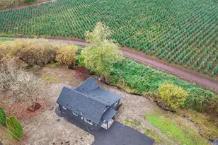 251 Swofford Rd, Mossyrock, WA 98564 - Photo 37