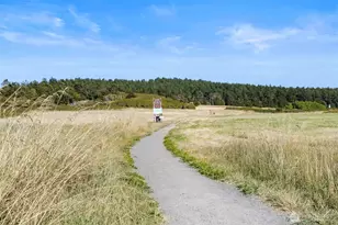 909 55th St, Port Townsend, WA 98368 - Photo 33