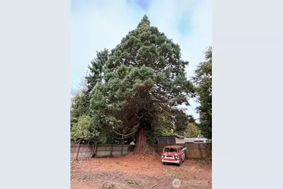 18421 44th Avenue W, Lynnwood, WA 98037 - Photo 9