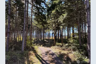 132 Xx Algyer Road SE, Rainier, WA 98576 - Photo 9