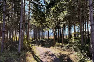 132 Xx Algyer Road SE, Rainier, WA 98576 - Photo 9