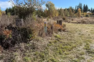 132 Xx Algyer Road SE, Rainier, WA 98576 - Photo 23