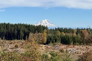 132 Xx Algyer Road SE, Rainier, WA 98576 - Photo 3