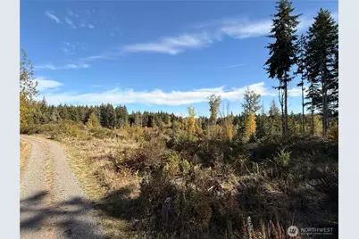 132 Xx Algyer Road SE, Rainier, WA 98576 - Photo 19