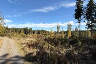 132 Xx Algyer Road SE, Rainier, WA 98576 - Photo 19