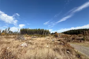 132 Xx Algyer Road SE, Rainier, WA 98576 - Photo 5