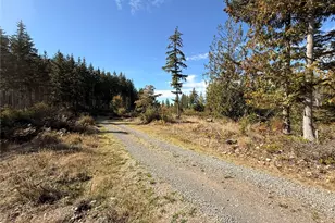 132 Xx Algyer Road SE, Rainier, WA 98576 - Photo 11