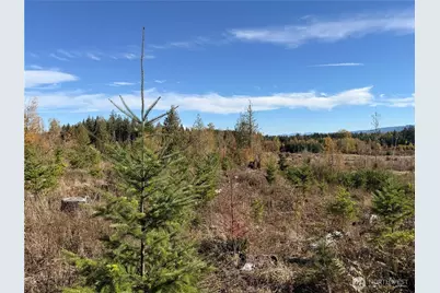 132 Xx Algyer Road SE, Rainier, WA 98576 - Photo 21