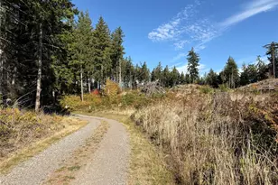 132 Xx Algyer Road SE, Rainier, WA 98576 - Photo 15