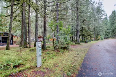 244 Schinn Canyon Court, Deming, WA 98244 - Photo 21