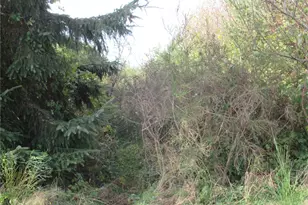 4 Driftwood Dr, Ocean City, WA 98569 - Photo 1