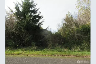 8 Driftwood Drive, Ocean City, WA 98569 - Photo 1