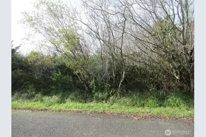 12 Driftwood Drive, Ocean Shores, WA 98569 - Photo 1