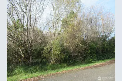 12 Driftwood Drive, Ocean Shores, WA 98569 - Photo 3