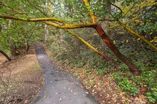 22412 Bluewater Dr SE, Yelm, WA 98597 - Photo 33