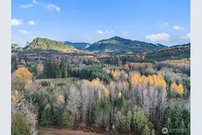 2 Roosevelt Road, Mineral, WA 98356 - Photo 5