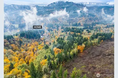 1586 King Road, Winlock, WA 98596 - Photo 5