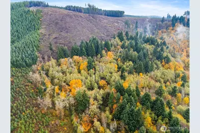 1586 King Road, Winlock, WA 98596 - Photo 3