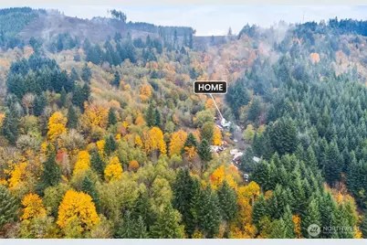 1586 King Road, Winlock, WA 98596 - Photo 29