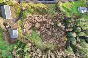 351 Stella Rd, Longview, WA 98632 - Photo 31