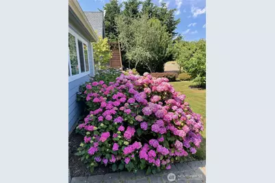 784 Windrose Drive, Coupeville, WA 98239 - Photo 15