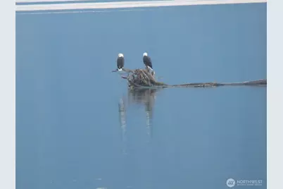 3151 Shoreline Drive, Camano Island, WA 98282 - Photo 29