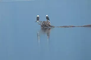 3151 Shoreline Dr, Camano Island, WA 98282 - Photo 29