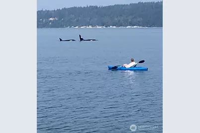 3151 Shoreline Drive, Camano Island, WA 98282 - Photo 31