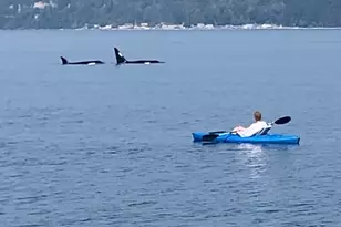 3151 Shoreline Dr, Camano Island, WA 98282 - Photo 31