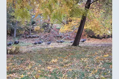 118 E Washington Avenue, Dayton, WA 99328 - Photo 7