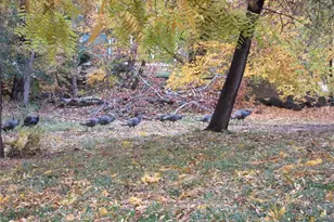 118 E Washington Ave, Dayton, WA 99328 - Photo 7