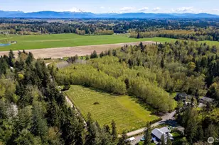 3151 Velvet Ln, Custer, WA 98240 - Photo 5