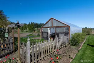 3151 Velvet Ln, Custer, WA 98240 - Photo 35