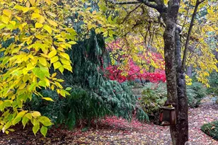 23 Fairbreeze, Port Townsend, WA 98368 - Photo 27