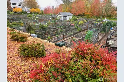 3935 226th Place SE #313, Issaquah, WA 98029 - Photo 29