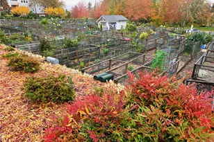 3935 226th Pl SE, Issaquah, WA 98029 - Photo 29