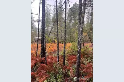 0 Tract 15 Dewatto Hills Road, Belfair, WA 98528 - Photo 5