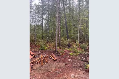 0 Tract 15 Dewatto Hills Road, Belfair, WA 98528 - Photo 17