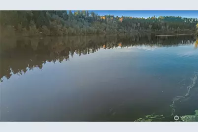 40424 Ski Park Road E, Eatonville, WA 98328 - Photo 29