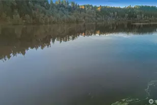 40424 Ski Park Rd E, Eatonville, WA 98328 - Photo 29