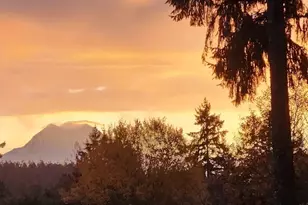 1546 Reservation Road SE, Olympia, WA 98513 - Photo 37